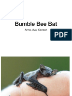 bumble bee bat project