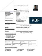 Curriculum Vitae Fabian Freddy