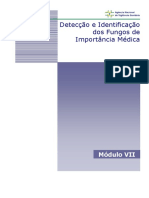 Detecção e Identificação dos Fungos de Importância Médica.pdf