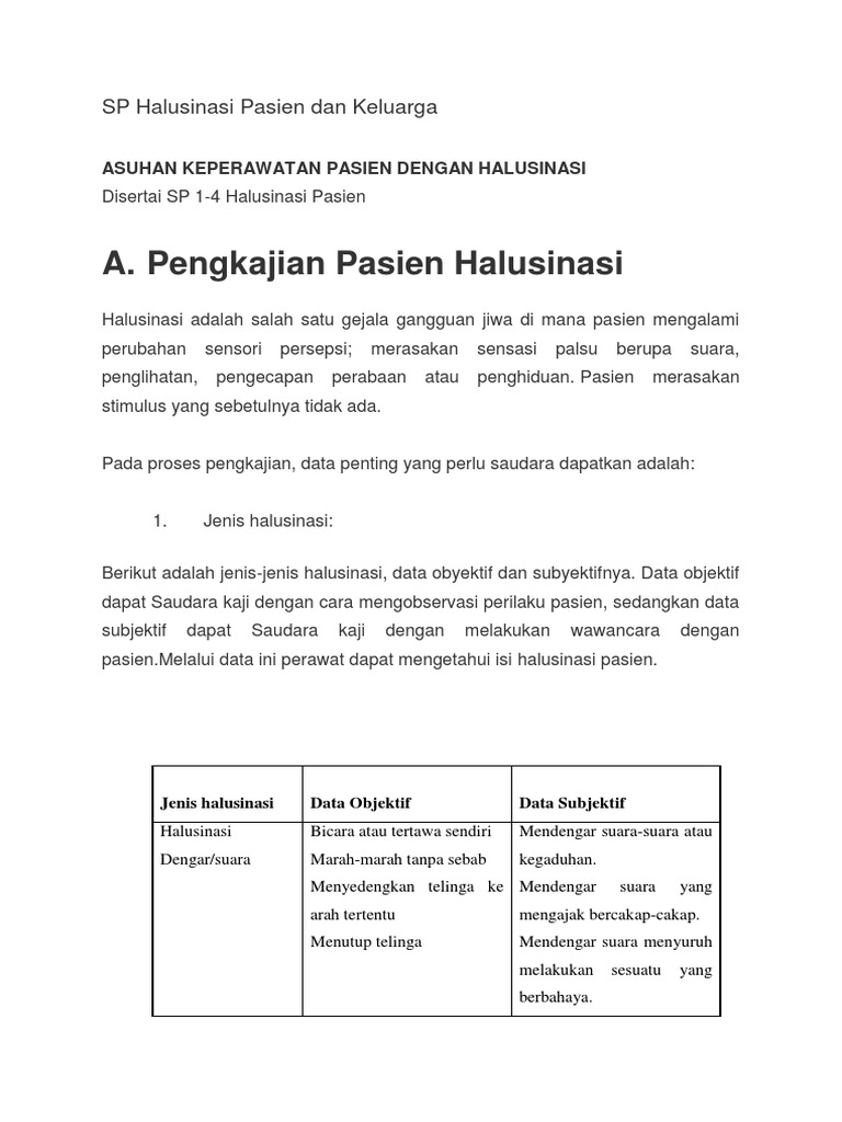 Asuhan Keperawatan Halusinasi Pasien | PDF