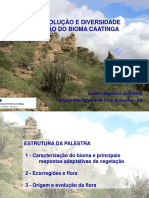 A ORIGEM, EVOLUÇÃO E DIVERSIDADE DA VEGETAÇÃO DO BIOMA CAATINGA.pdf