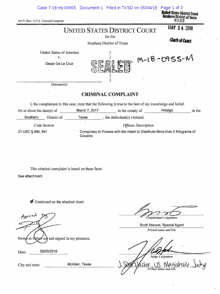 Hidalgo Court Bailiff PDF