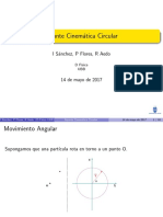 Dinamica Circular Fisica