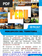 7 Percepción Mundial Del Perú (Sesión 7)