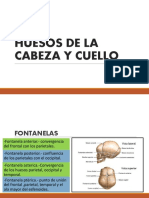 Huesos Expo Final PDF