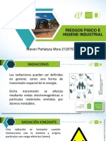 Riesgos Fisicos (Radiaciones Ionizantes, No Ionizantes, Presiones Anormales y Vibraciones)