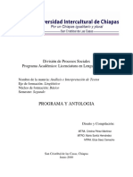 Análisis-e-interpretación-de-textosl-PROGRAMA.docx