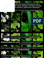 Clase1-2013-Biodiversidad.pdf