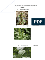 Herbologia Ficha de Identificação
