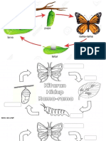 kitar hidup rama2.pdf