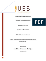 Concordancias y Discordancias