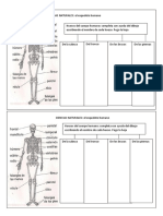 documento 50 esqueleto.docx