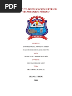 INSTITUTO DE EDUCACION SUPERIOR TECNOLOGICO PÚBLIC1 ORTOGRAFIA.docx