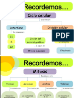meiosis.pdf