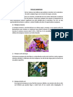 TIPOS DE MARIPOSAS.docx