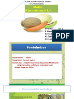 Dokumen PPT Melon
