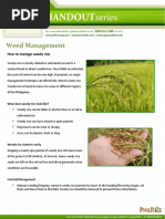 Weed Management: How To Manage Weedy Rice