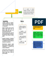 organizaciones.docx