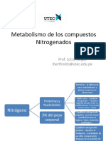 Metabolismo de Los Compuestos Nitrogenados