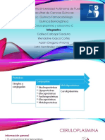 Ceruloplasmina y Citocromo C