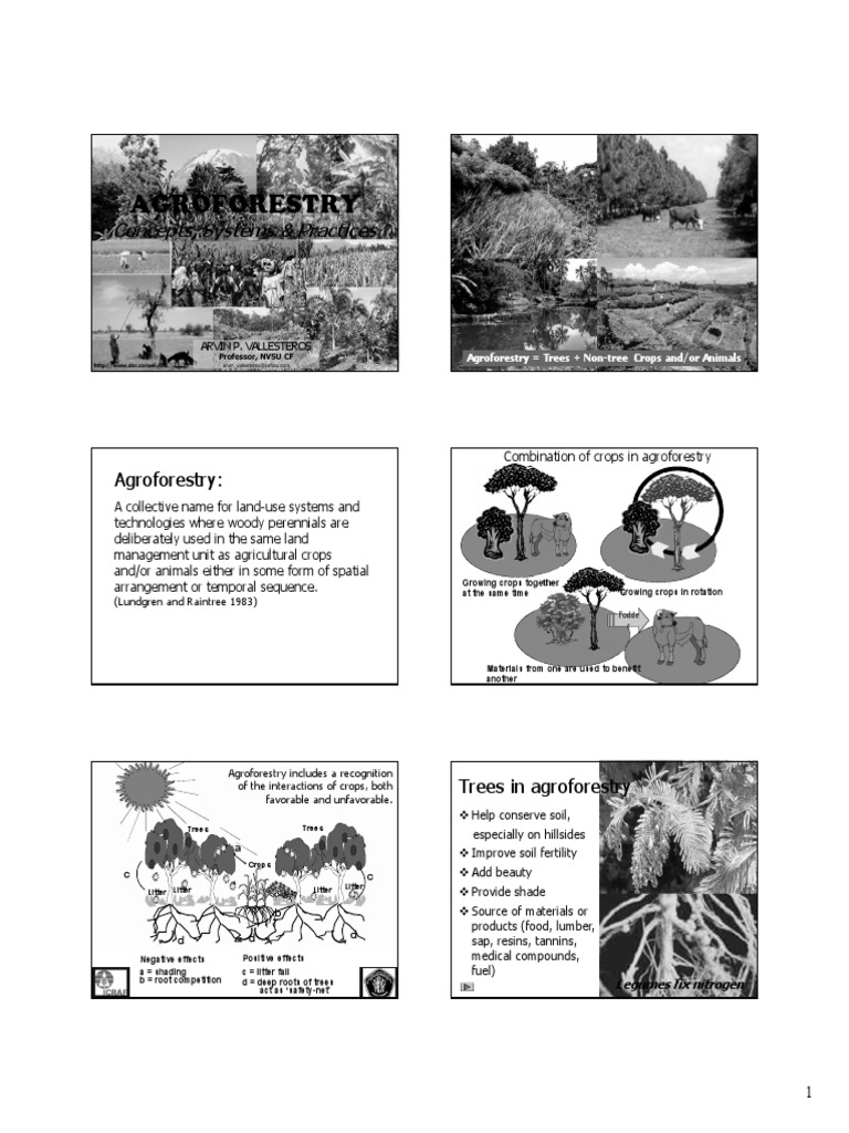 Agroforestry Concepts Systems Practices Pdf Crop Rotation Soil