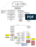 Pathophysiology of Rheumatic Heart Disease: Predisposing Factors: Precipitating Factors: Etiology