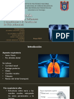 Seminario Espirometria