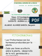 FITO HORMONAS.pptx