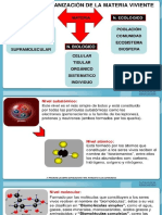 Niveles de Organizacion