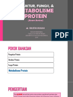 Metabolisme Protein: Struktur, Fungsi