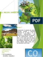 EL MEDIO AMBIENTE 2.pptx