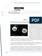 Algas adaptam-se à acidificação dos oceanos