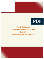 Perfil-de-Egresado Pedagogía