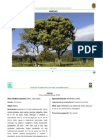 Chis4 PDF