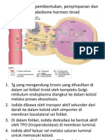 Pembentukan, Penyimpanan Dan Metabolisme Hormon Tiroid 