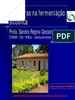 4 6 Leveduras Aula PDF