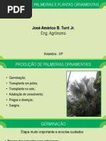 Aula 18 - Produção de Palmeiras e Plantas Ornamentais