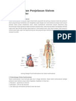 Pengertian Dan Penjelasan Sistem Kardiovaskuler