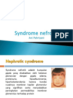 Lect 6-sindrome nefrotik.ppt