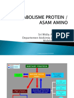 Met Protein FN Digesti Dan Metend