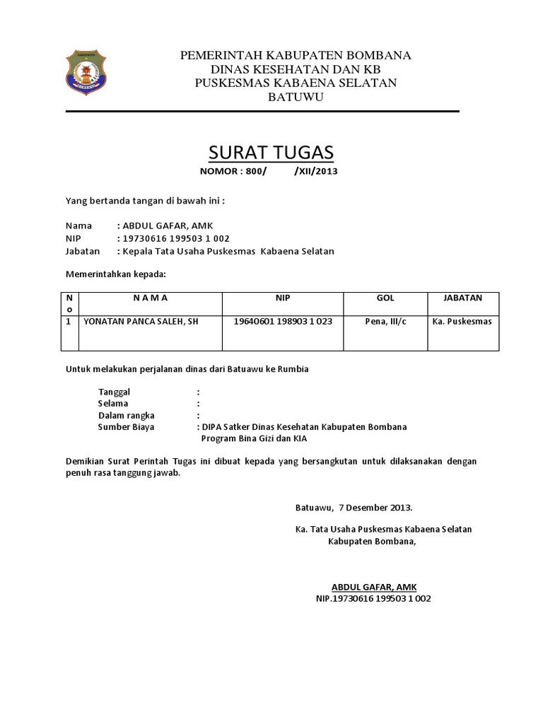 Contoh Surat Tugas Dinas Kesehatan Audit Kinerja