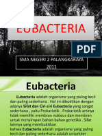 Eu Bacteria