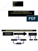 Requerimientos Energeticos