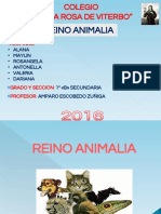 Anfibios Exposicion