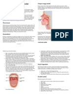Fungsi Mulut Dan Rongga Mulut Manusia