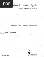 A Interiorização Da Metropole