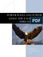 Power Poles and Power Lines: The Eagles Main Threats To Life