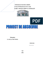 Model Proiect