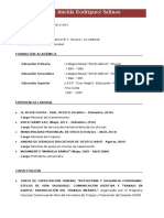 Modelo de Curriculum Vitae