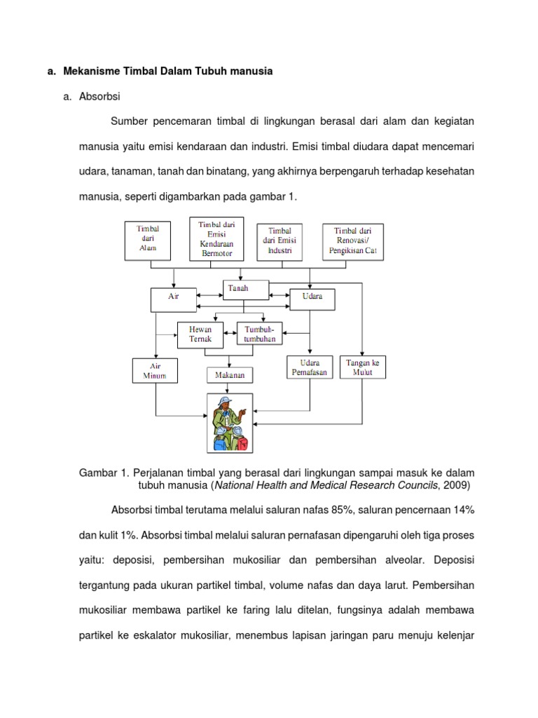 Mekanisme Timbal Dalam Tubuh Manusia PDF